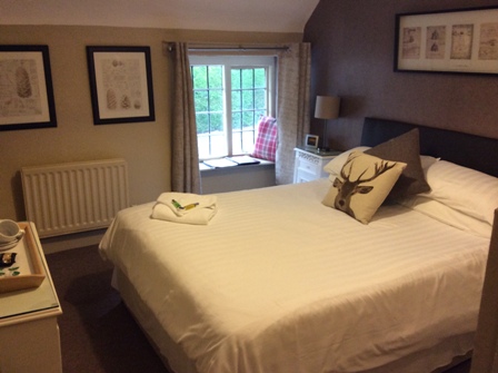 room 3 standard room