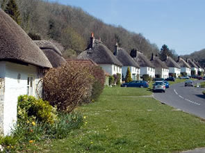 Village Views